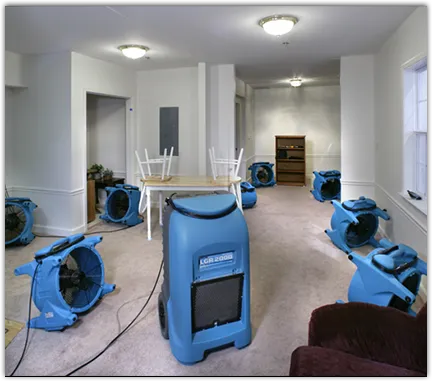 Leak Detection & Repair in Chelmsford, MA